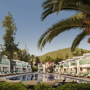 Complex Voyage, Torba